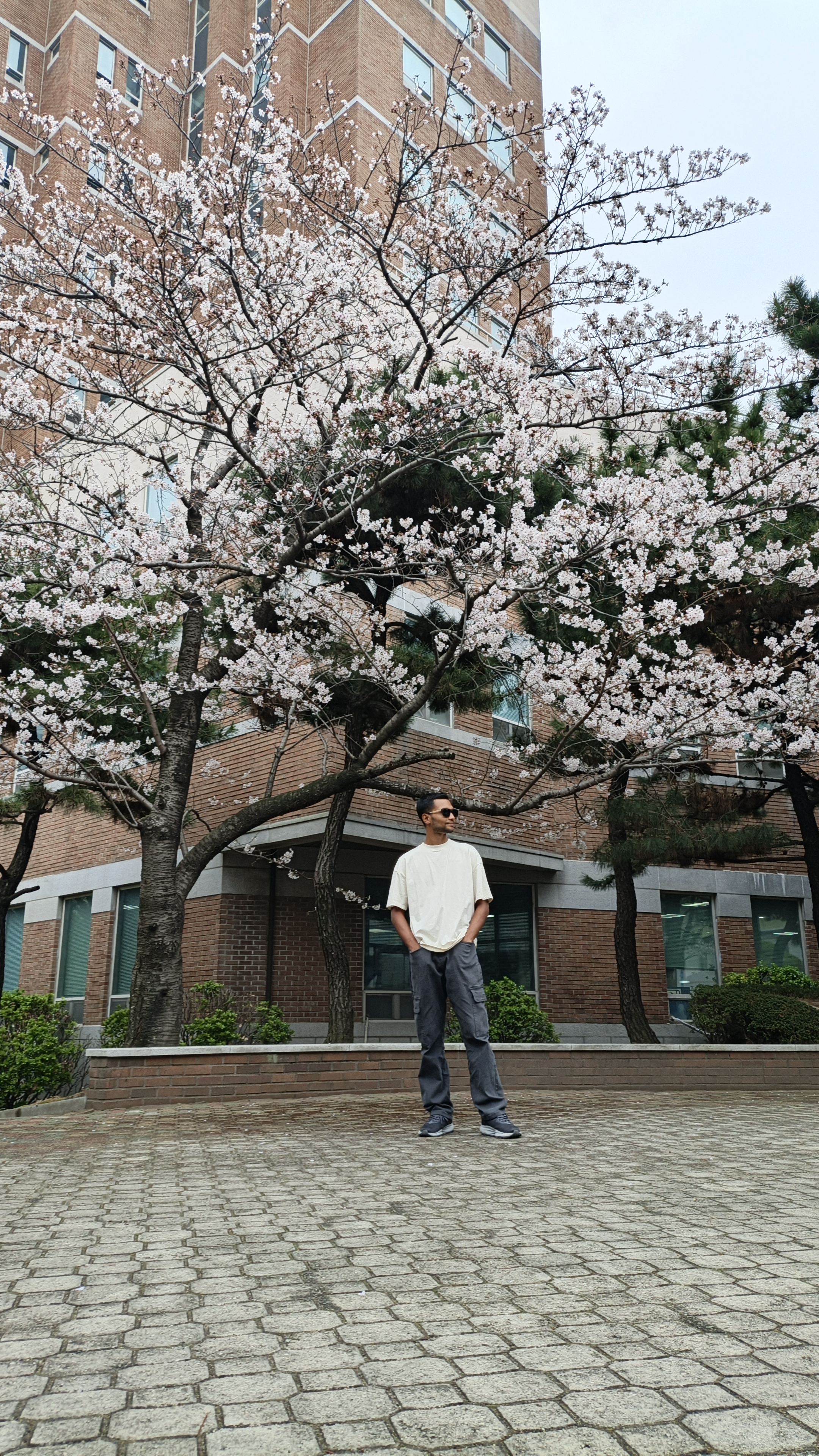 Peish J.